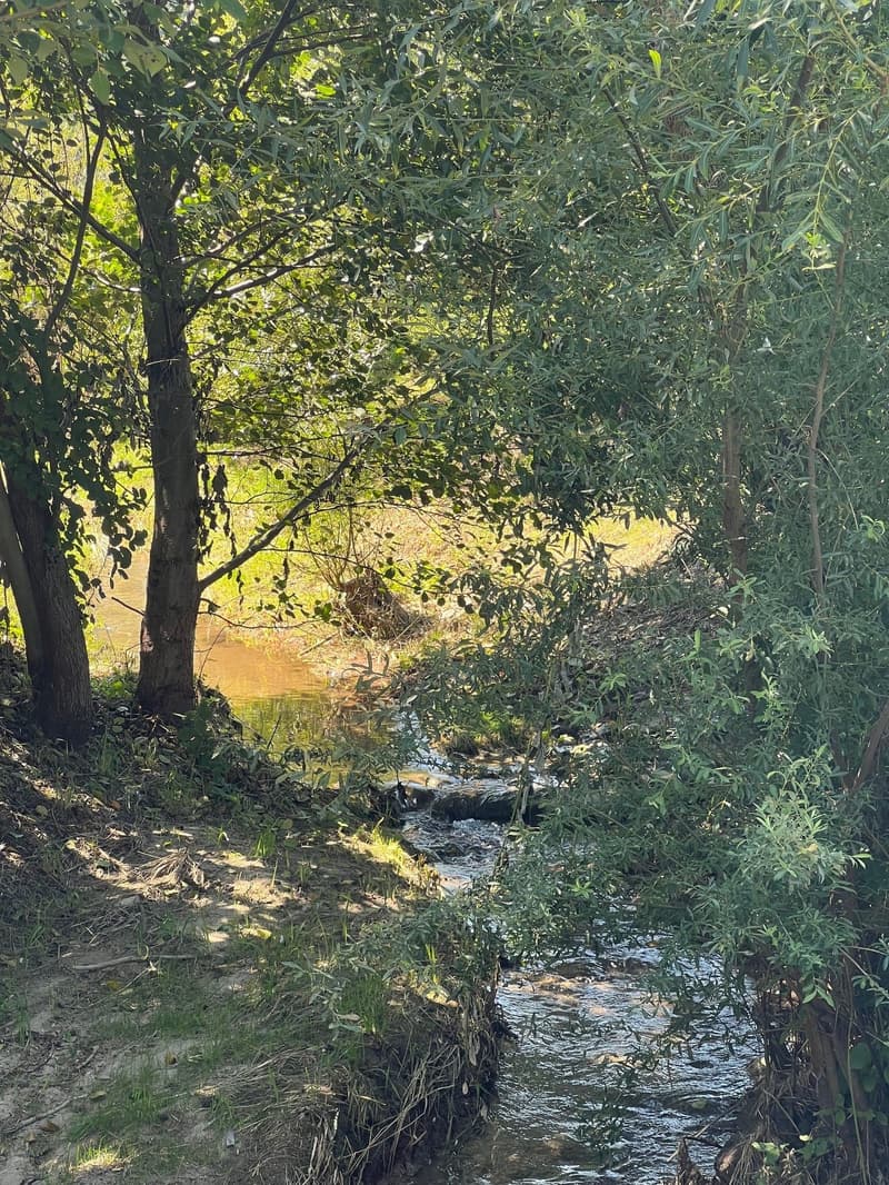 Wohnen am Bach im idyllischen Hendschiken mit guter Anbindung nach Lenzburg, Aarau und Zürich (23)