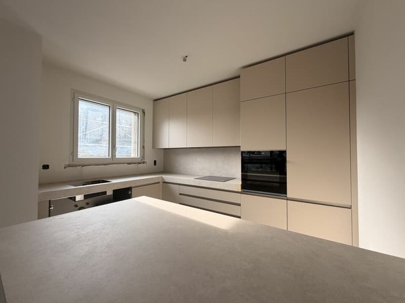 LUGANO-LORETO · RESIDENZ CASSARINETTA · 5,5 LOCALE HOCHWERTIG MIT SEEBLICK (2)