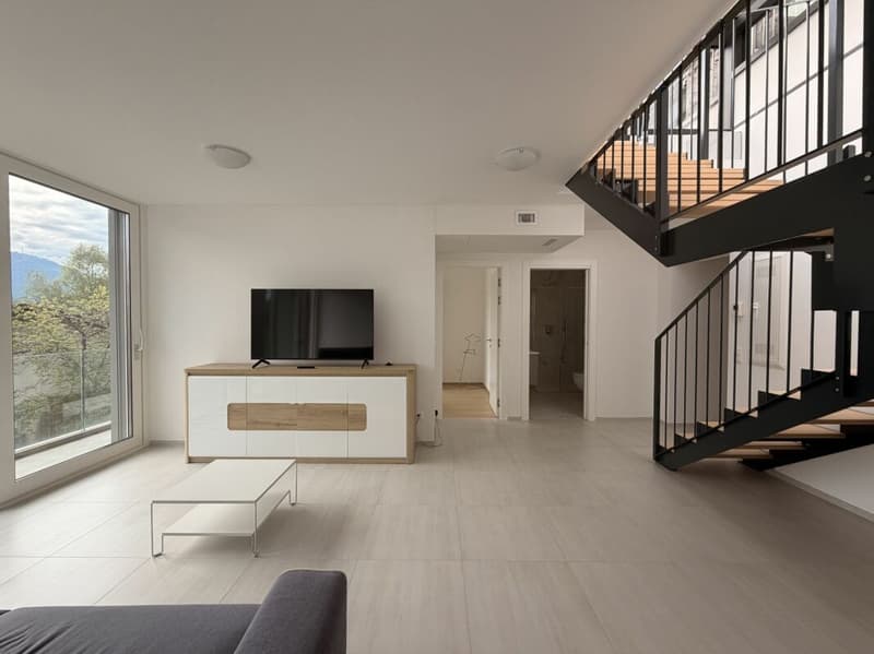 AGNO · CASA VACANZA · 2.5 LOCALI DI DESIGN CON ROOF TOP PANORAMICO (8)