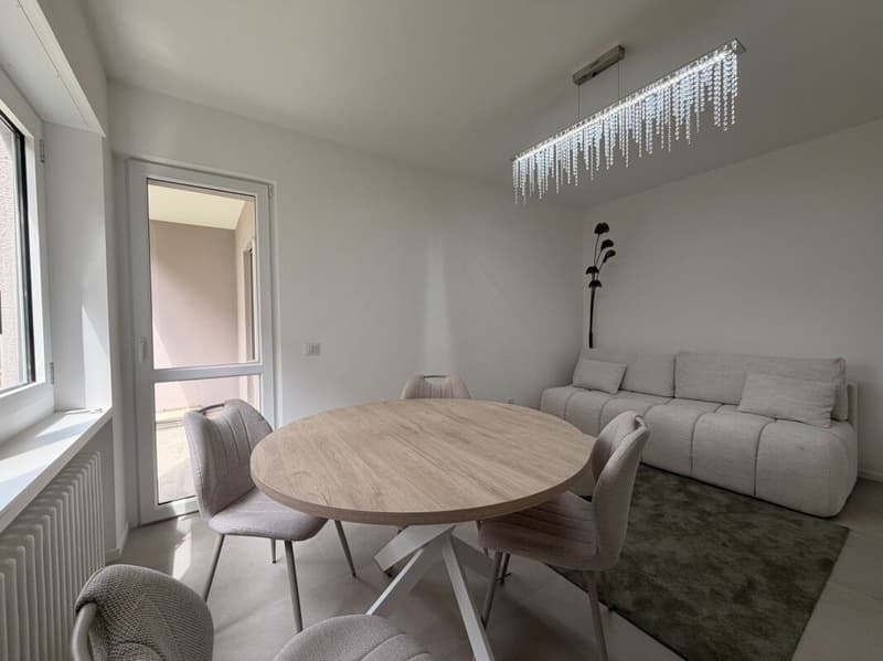 MASSAGNO - 3,5 PIÈCES RÉNOVÉS FINEMENT - JARDIN PRIVÉ (4)
