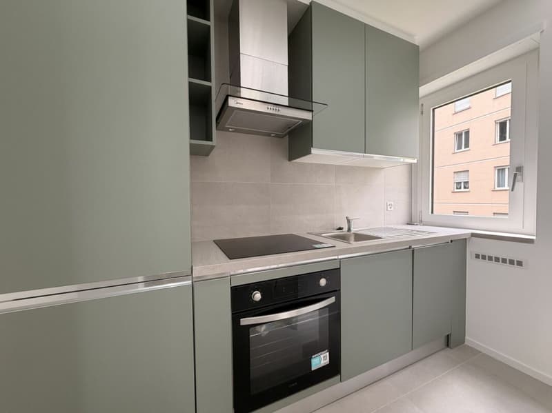 MASSAGNO - 3,5 PIÈCES RÉNOVÉS FINEMENT - JARDIN PRIVÉ (2)