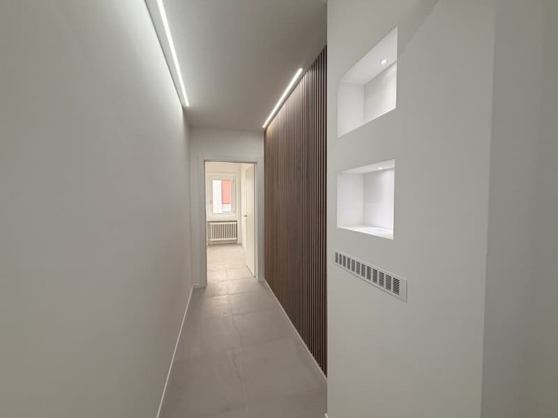 MASSAGNO - 3,5 PIÈCES RÉNOVÉS FINEMENT - JARDIN PRIVÉ (1)
