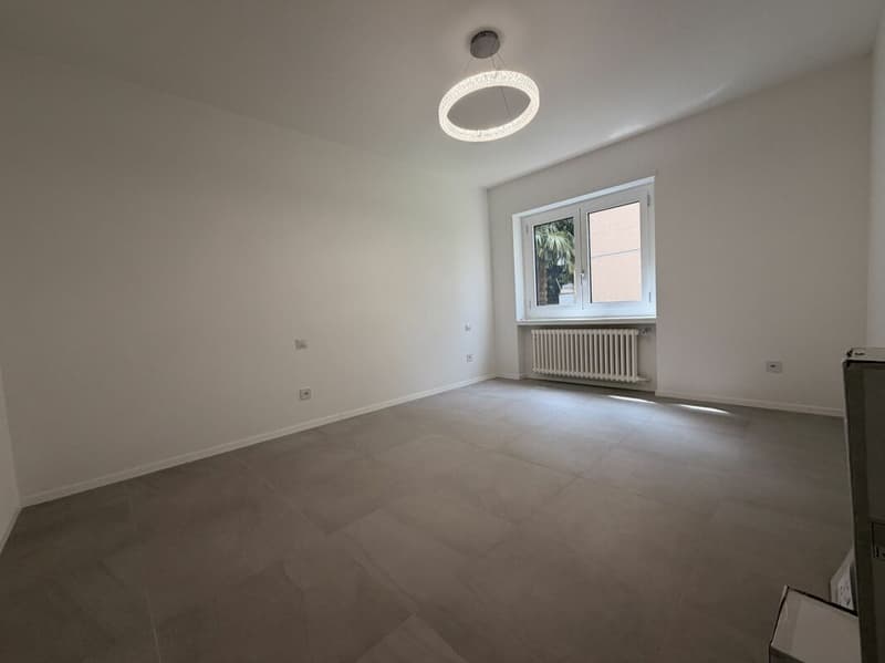 MASSAGNO - 3,5 PIÈCES RÉNOVÉS FINEMENT - JARDIN PRIVÉ (7)