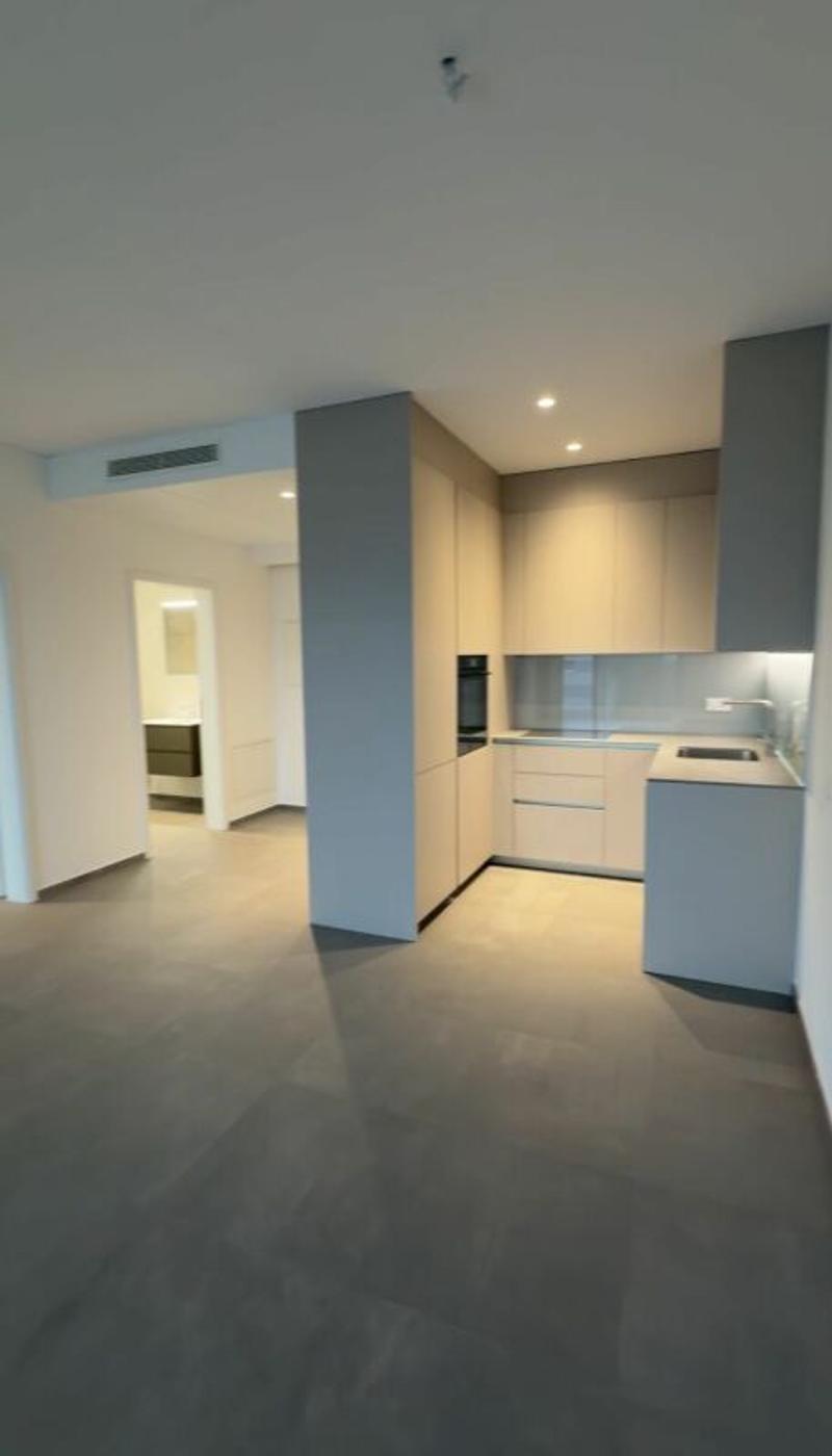 PREGASSONA · DERNIER 2½ PIÈCES AVEC JARDIN · POSSIBILITÉ RENT TO BUY (3)