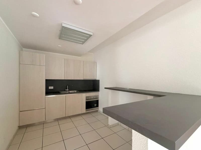 LUGANO · MODERN OFFICES WITH KITCHEN AND ACCESSIBLE BATHROOM · AVAILABLE IMMEDIATELY (4)