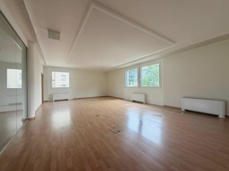 LUGANO · MODERN OFFICES WITH KITCHEN AND ACCESSIBLE BATHROOM · AVAILABLE IMMEDIATELY (1)