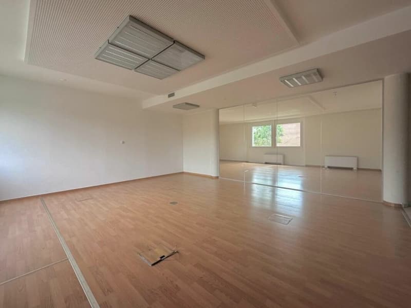 LUGANO · MODERN OFFICES WITH KITCHEN AND ACCESSIBLE BATHROOM · AVAILABLE IMMEDIATELY (2)
