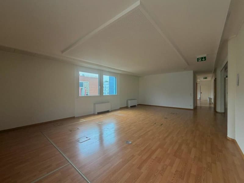 LUGANO · MODERN OFFICES WITH KITCHEN AND ACCESSIBLE BATHROOM · AVAILABLE IMMEDIATELY (3)