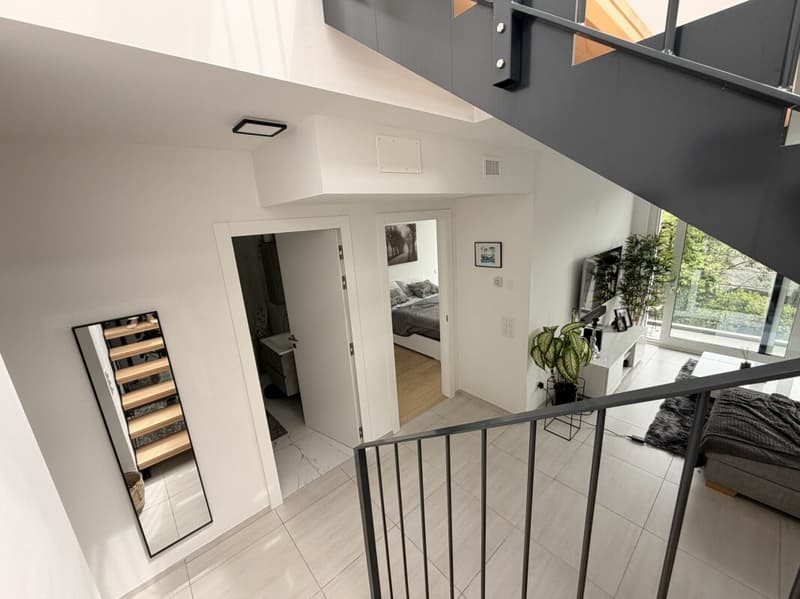 AGNO · GRAND ET MODERNE 2 PIÈCES AVEC TERRASSE PANORAMIQUE (7)