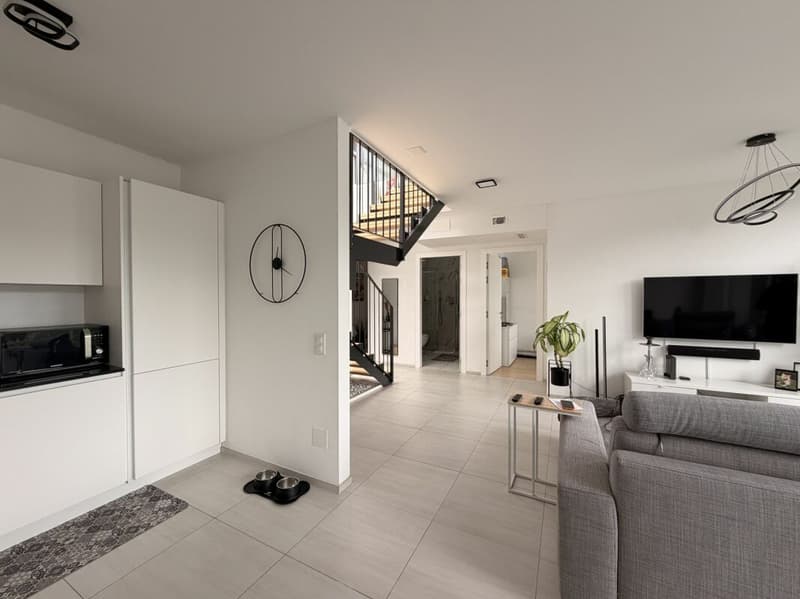 AGNO · GRAND ET MODERNE 2 PIÈCES AVEC TERRASSE PANORAMIQUE (3)
