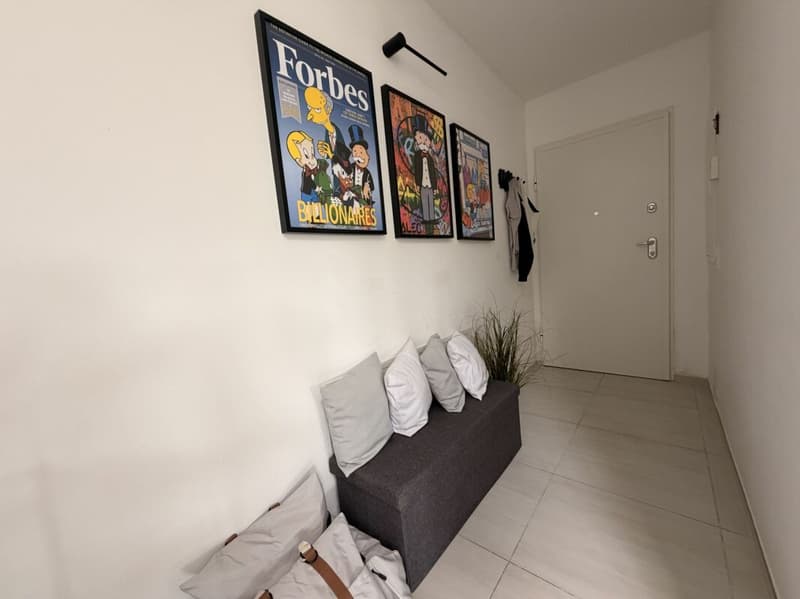 AGNO · GRAND ET MODERNE 2 PIÈCES AVEC TERRASSE PANORAMIQUE (2)