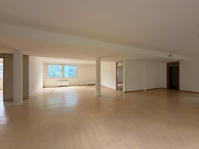 LUGANO · BUREAU EN ZONE TRÈS CENTRALE ET DISPONIBLE DÈS QUE POSSIBLE · 198 m2 (4)