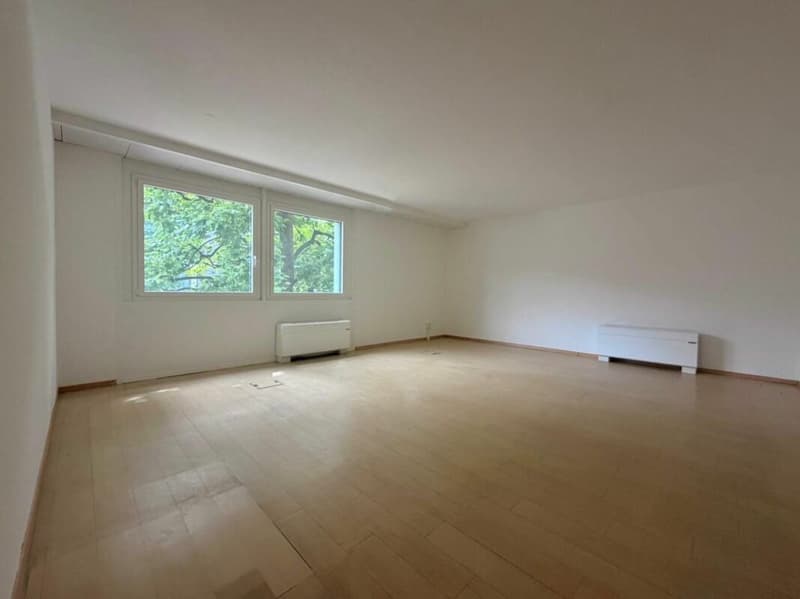 LUGANO · BUREAU EN ZONE TRÈS CENTRALE ET DISPONIBLE DÈS QUE POSSIBLE · 198 m2 (9)