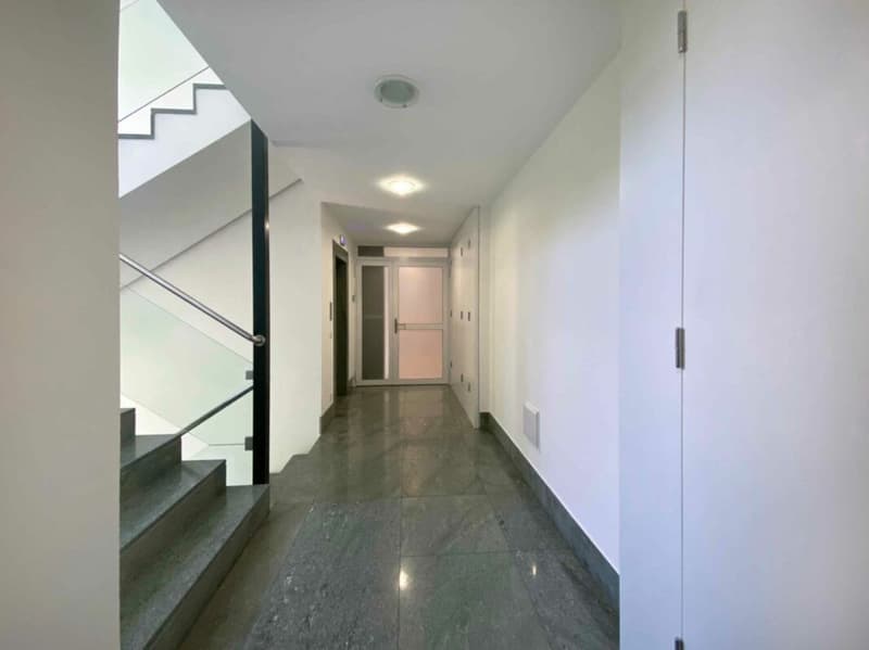 LUGANO · BUREAU EN ZONE TRÈS CENTRALE ET DISPONIBLE DÈS QUE POSSIBLE · 198 m2 (2)