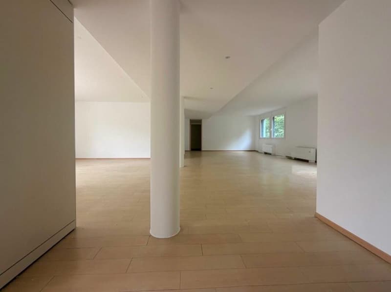 LUGANO · BUREAU EN ZONE TRÈS CENTRALE ET DISPONIBLE DÈS QUE POSSIBLE · 198 m2 (6)