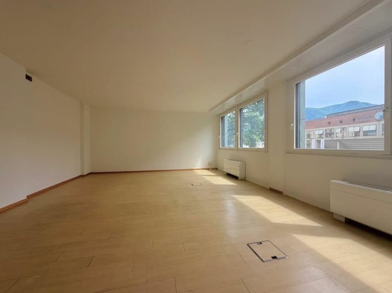 LUGANO · BUREAU EN ZONE TRÈS CENTRALE ET DISPONIBLE DÈS QUE POSSIBLE · 198 m2 (8)