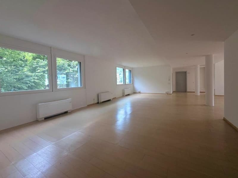 LUGANO · BUREAU EN ZONE TRÈS CENTRALE ET DISPONIBLE DÈS QUE POSSIBLE · 198 m2 (10)