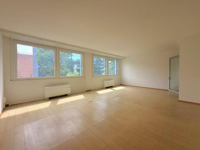 LUGANO · BUREAU EN ZONE TRÈS CENTRALE ET DISPONIBLE DÈS QUE POSSIBLE · 198 m2 (5)