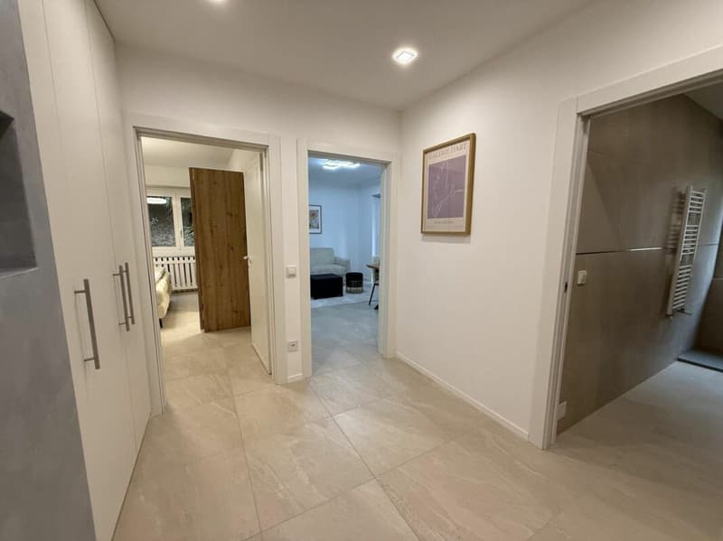 MASSAGNO - 3,5 PIÈCES RÉNOVÉS FINEMENT - JARDIN PRIVÉ (2)