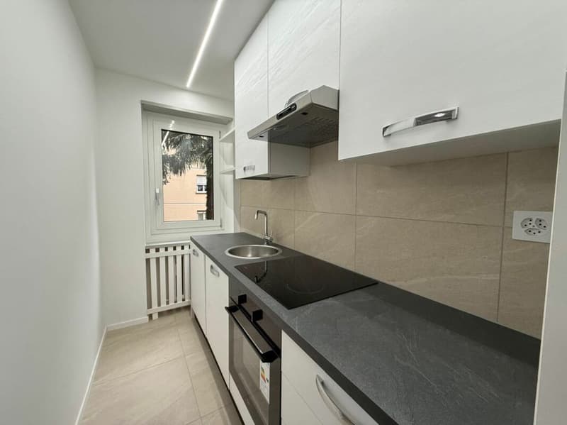 MASSAGNO - 3,5 PIÈCES RÉNOVÉS FINEMENT - JARDIN PRIVÉ (3)