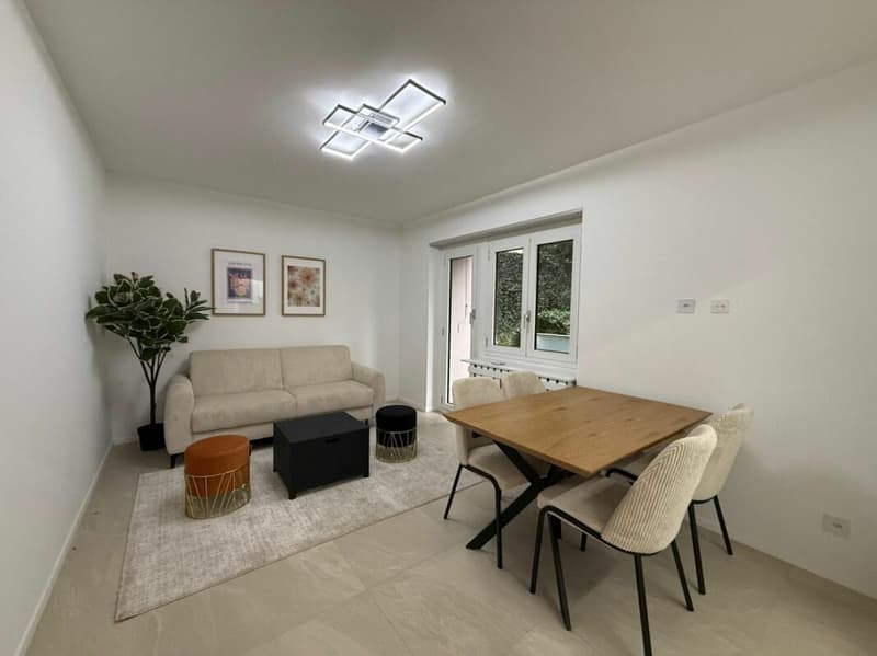 MASSAGNO - 3,5 PIÈCES RÉNOVÉS FINEMENT - JARDIN PRIVÉ (4)