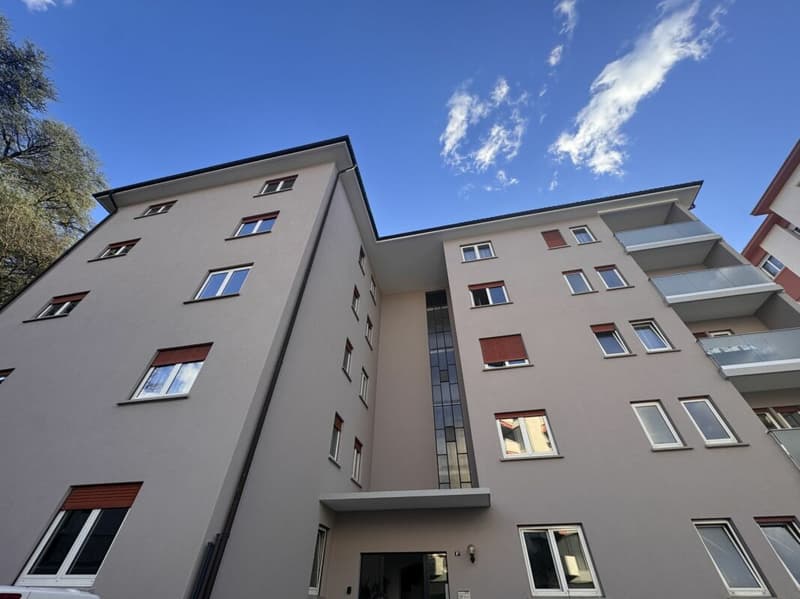 MASSAGNO - CERCHI UN 3.5 LOCALI RINNOVATO E CHIAVI IN MANO? (15)