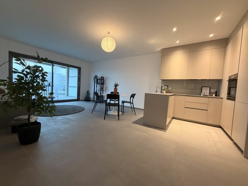 PREGASSONA · RENT TO BUY 3½ LOCALI  CON TERRAZZA COPERTA E GIARDINO (4)