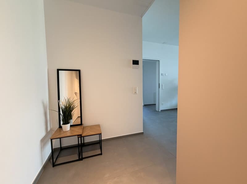 PREGASSONA · RENT TO BUY 3½ LOCALI  CON TERRAZZA COPERTA E GIARDINO (3)