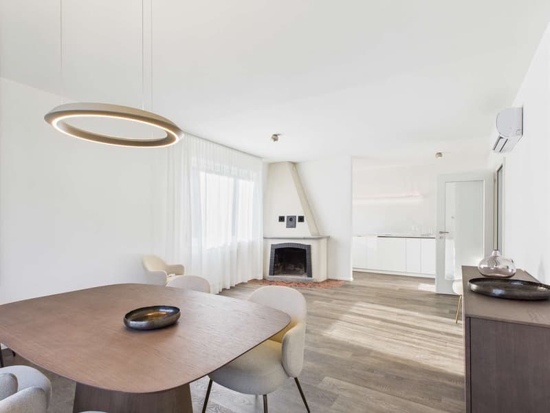Two-family house in Ascona (5)