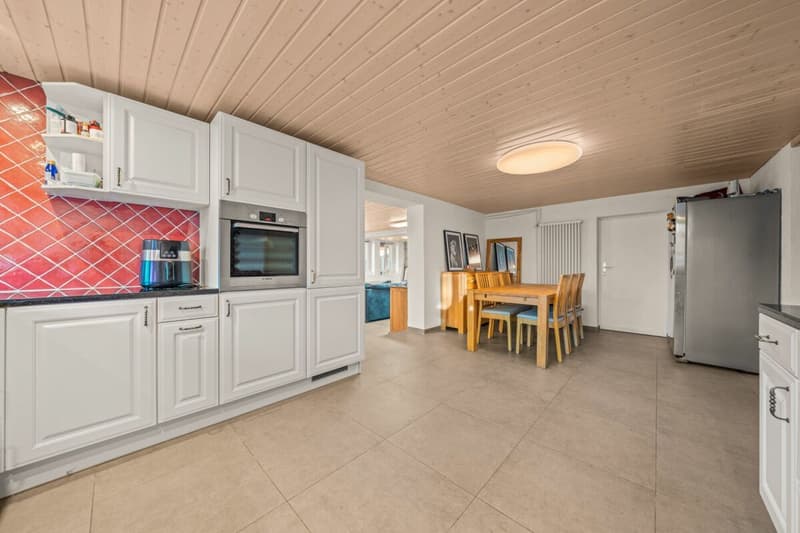 Ampio duplex completamente rinnovato con grande terrazza esterna (4)