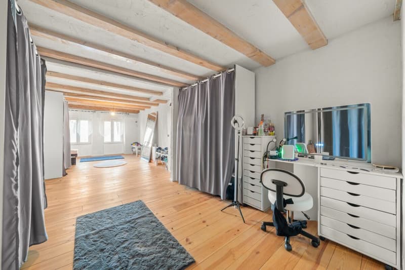 Ampio duplex completamente rinnovato con grande terrazza esterna (7)