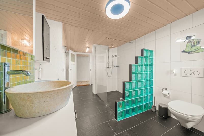 Ampio duplex completamente rinnovato con grande terrazza esterna (8)