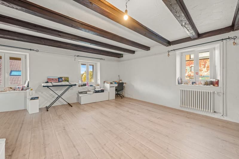 Ampio duplex completamente rinnovato con grande terrazza esterna (6)