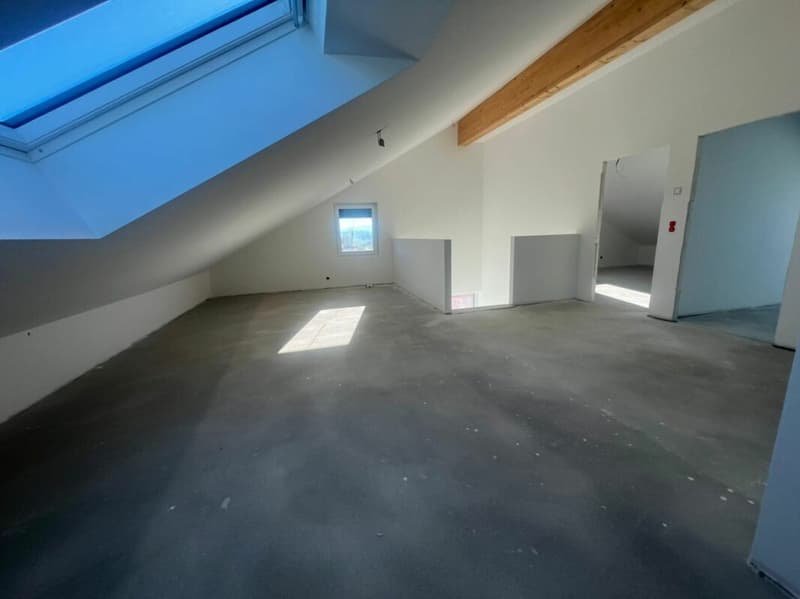 Superbe villa aux portes de Lausanne - Villa B (14)