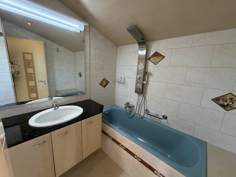 Charming family house with garden in a residential area in La Sarraz (10)