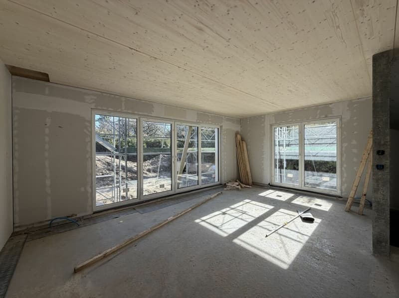Villa A - Progetto Colline Payerne (10)