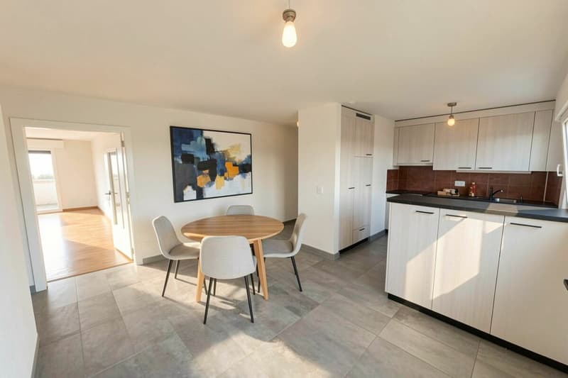 Superbe appartement traversant de 4,5 pièces - Avec grand balcon à Farvagny-le-Grand (2)