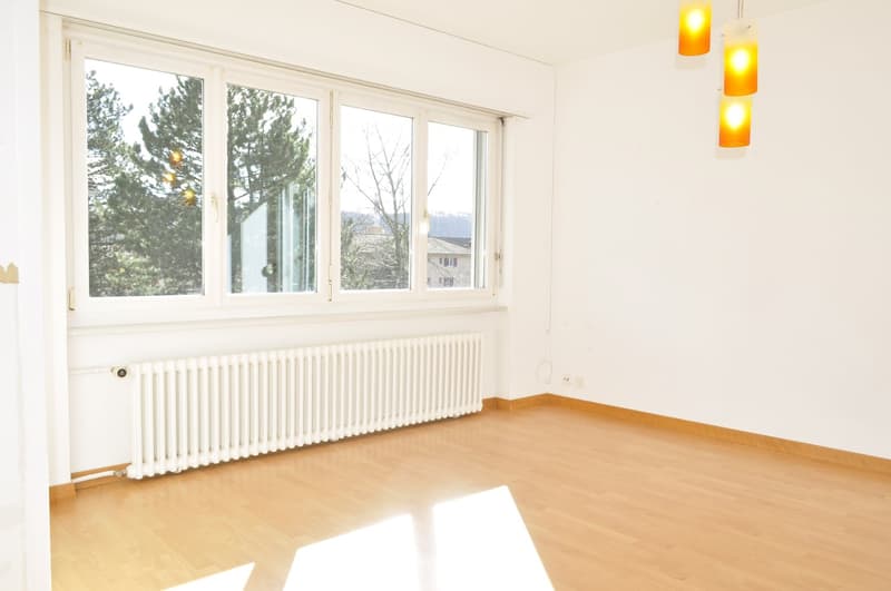 Charming 4-room apartment near the center of Biel/Bienne (15)