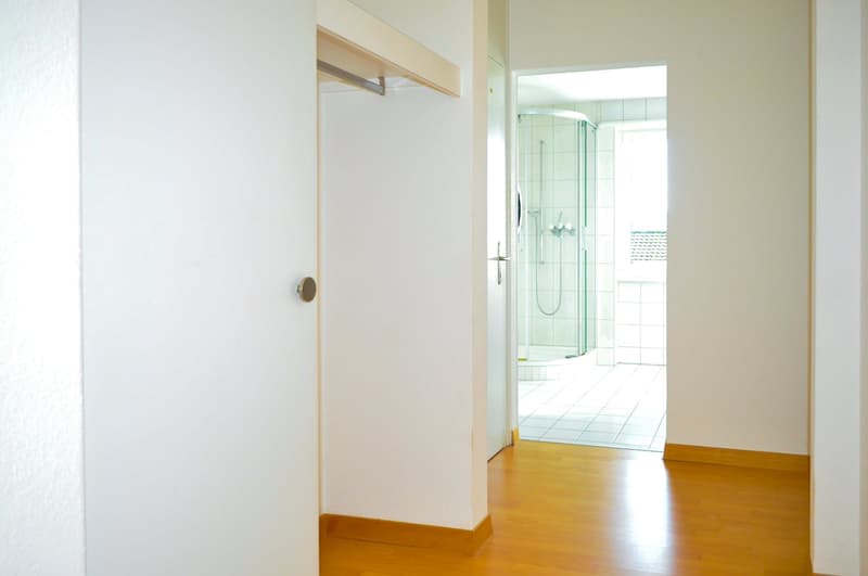 Charming 4-room apartment near the center of Biel/Bienne (8)