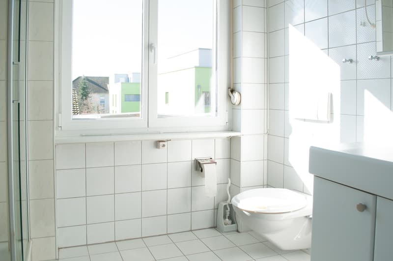 Charming 4-room apartment near the center of Biel/Bienne (9)