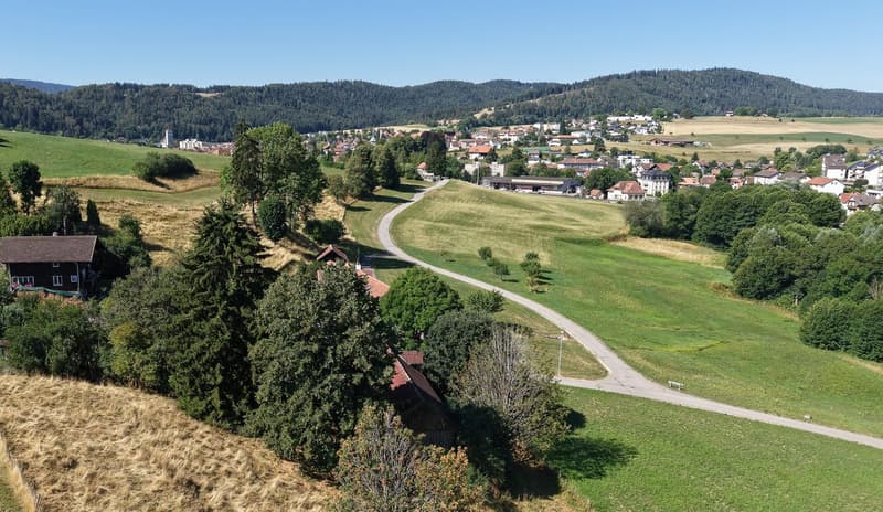 Rustikales Bauernhaus in Tavannes – Altbau-Juwel mit grossem Grundstück (4)