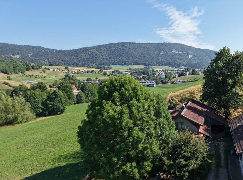 Rustikales Bauernhaus in Tavannes – Altbau-Juwel mit grossem Grundstück (6)