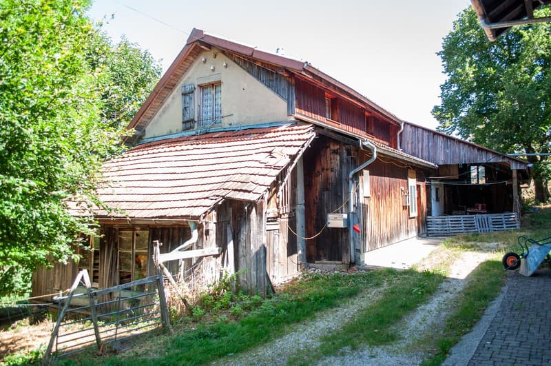 Rustikales Bauernhaus in Tavannes – Altbau-Juwel mit grossem Grundstück (1)