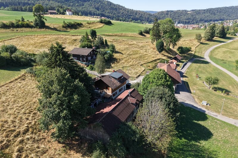 Rustikales Bauernhaus in Tavannes – Altbau-Juwel mit grossem Grundstück (5)