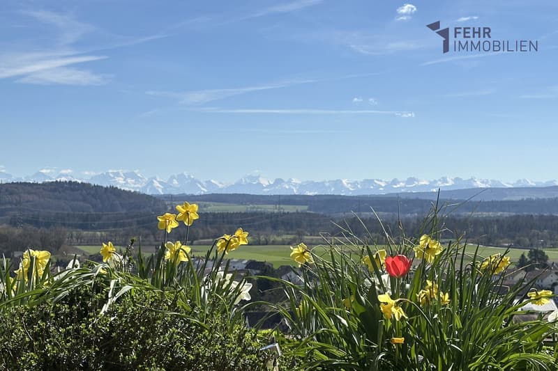 9207_4.5-Zimmer-Terrassenwohnung_2553_Safnern