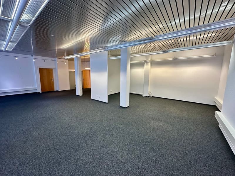 empty room, gray carpet, white walls, wooden doors, metal ceiling, fluorescent lights