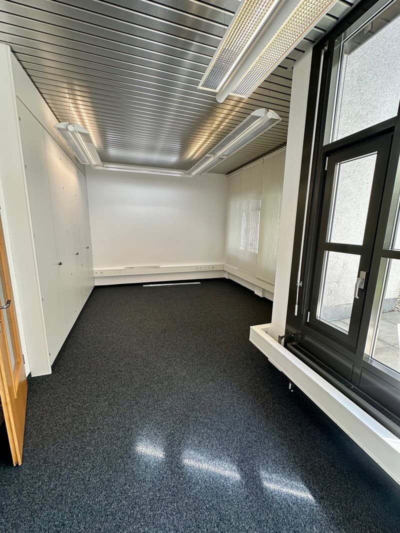empty room, white walls, black carpet, white ceiling with lights, glass window, wooden door
