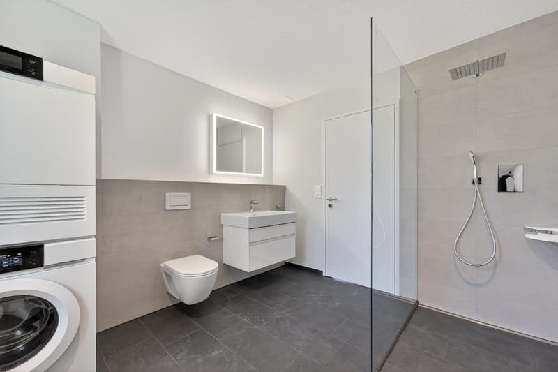 Dachwohnung begehbare Dusche und WT-Turm