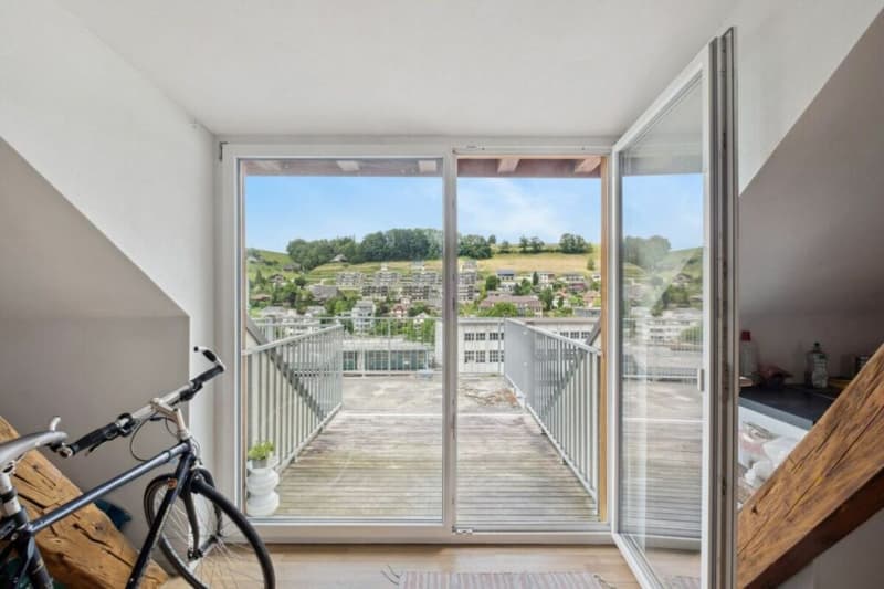Attractive capital investment with stable rental income! (11)
