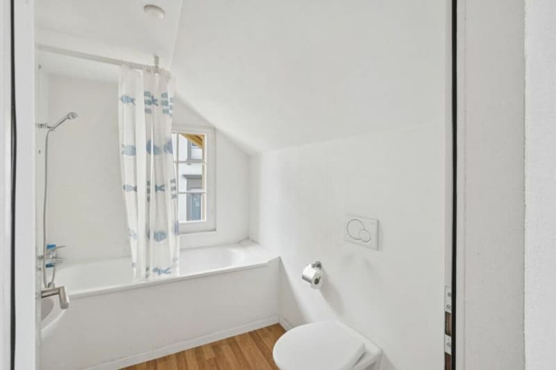 Attractive capital investment with stable rental income! (12)